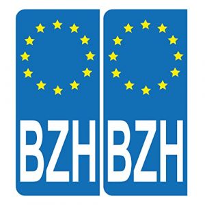 HADEXIA Autocollant Plaque d'immatriculation Voiture BZH Bretagne Breizh Gauche (Digital Sticker, neuf)