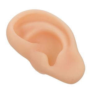 CLISPEED Modèle Oreille Silicone Flexible Réaliste Pour Enseignement Médical Maquette Professionnelle Oreille Gauche Avec Conduit Auditif Artificiel Outil Affichage Pour Prothèses Auditives (Yeahzl, neuf)