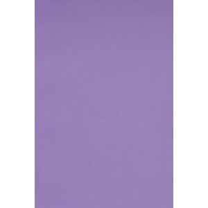 Netuno 10x carton violet 250g papier d&eacute;coratif A5 148,5x210mm Burano Violet id&eacute;al pour cartes de voeux scrapbooking bricolage invitations art et artisanat anniversaire DIY loisirs cr&eacute;atifs (netuno, neuf)