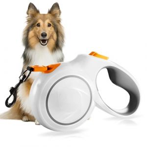 5M Laisse r&eacute;tractable pour Chien, Laisse Enrouleur, Laisse pour Chien de qualit&eacute; sup&eacute;rieure Extensible,Enrouleur Solide,de Dressage Automatique pour jusqu'&agrave; 50 kg(Orange) (ALFAXCELE, neuf)