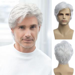 Qnbiar Perruque pour hommes perruque courte blanche synth&eacute;tique chaleur &agrave; la chaleur naturelle Halloween r&ocirc;le jeu perruque (Qinbaeu, neuf)