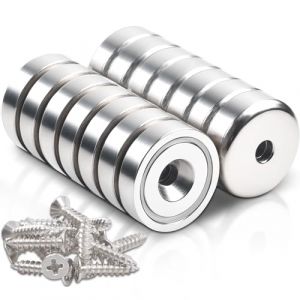 Lot de 14 aimants puissants en néodyme avec trou - 10 kg de force - 16 x 5 mm - Aimant rond en néodyme - Aimants ronds en néodyme à visser - Aimant en pot à tête fraisée avec vis (Anelueeoo, neuf)