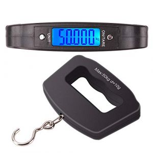 Kinstecks 110lb / 50kg poissons &eacute;chelles LCD r&eacute;tro-&eacute;clair&eacute; balance &eacute;lectronique balance de p&ecirc;che num&eacute;rique balance de p&ecirc;che suspendue pour la chasse p&ecirc;che postale cuisine (kinstecks, neuf)