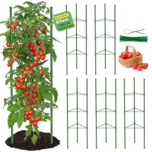 MQUPIN Tuteur Tomate,6pcs Cage &agrave; Tomates Support,130cm Vertical Cage &agrave; Tomates Treillis pour Jardin, piquets de Support pour Plantes grimpantes, l&eacute;gumes et Fleurs,L&eacute;gumes et Fleurs (Lecheng co., LTD, neuf)