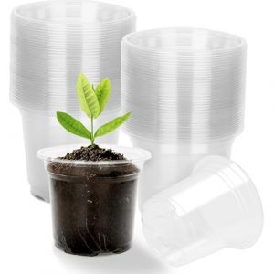 KINGLAKE 10cm Pot pour semis, Pots de Fleurs en Plastique, 36 Pcs Godet de Culture rempotage, Godet repiquage Plantation Transparent, pour semis, orchid&eacute;es, graines, boutures (JH Gardening, neuf)