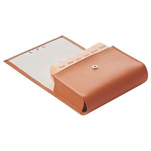 Pilbox Maxi Pilulier Semainier - Fauve (Cocooncenter, neuf)