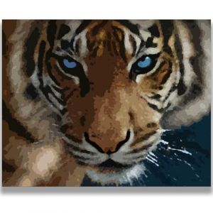 Homorro Peinture Numero Adulte Par Bricolage Loisirs Cr&eacute;atifs Activit&eacute; Manuelle Coloriage 50&times;40cm DIY Dessin Paint by Numbers Tableau Decoration Murale Chambre Cadeau Femme Anniversaire Idee (You-ger, neuf)