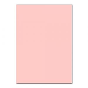 50x A5 Papier - couleur: rose - 148 x 210 mm - 120 g/m&sup2; - Papier &agrave; lettres, papier de bricolage, papier d'argile - FarbenFroh by GUSTAV NEUSER (GUSTAV NEUSER GmbH, neuf)