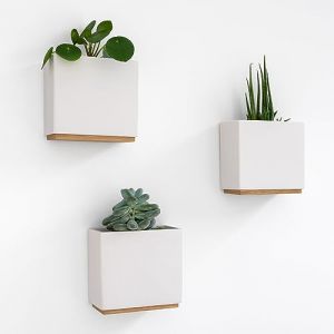 Kazai. Jardinières Murales -Alma- | 3 Pots de Fleurs Suspendus Modernes en Résine | Ensemble de Porte-Plantes pour Plantes d'intérieur, Plantes artificielles et Plus | Crème (mtc commerce GmbH, neuf)
