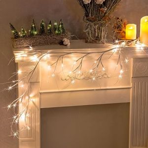 DELICHTER Branche lumineuse rouge pur avec 48 LED blanc chaud lumineux - Alimentation &eacute;lectrique - Guirlande lumineuse d&eacute;corative pour chambre &agrave; coucher, int&eacute;rieur et ext&eacute;rieur - D&eacute;coration murale de (Dilatto International, neuf)
