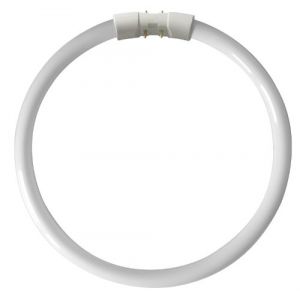 Kosnic circulaire 40 W T5 Tube Fluorescent 2 GX13 Socle blanc froid (General Lamps Ltd., neuf)