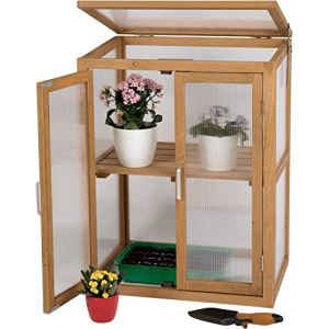 needs&wants® Mini Serre en Bois Exterieur - Serre de Jardin semis Résistante au Froid pour Balcon, Jardin, Intérieur, Abri Surélevé pour Plantes, 56x43x76 cm, Polycarbonate, Brun Foncé (YES4WORLD GmbH, neuf)
