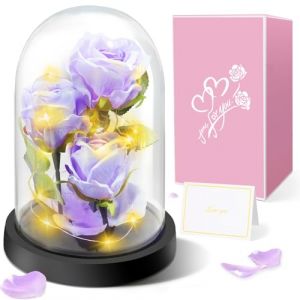 Cadeaux de Fête des Mères pour Femmes - Rose Eternelle sous Cloche Cadeau Femme - 3 Roses de Soie Violettes, Rose Dôme en Verre Fleur Artificielle avec LED Lumières,Cadeau pour Femme,Maman,Grand-mère (Touloube, neuf)