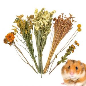 Literie pour hamster &agrave; fleurs s&eacute;ch&eacute;es &ndash; Literie pour hamster, fleurs naturelles pour friandises, fleurs naturelles, sprays d&eacute;coratifs pour hamsters, ajout d'accessoires amusants pour hamsters (yuxao, neuf)