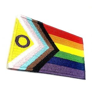 &Eacute;cusson brod&eacute; &agrave; repasser ou &agrave; coudre sur v&ecirc;tements - Motif : arc-en-ciel - Gay Pride - Motif LGBT - 8 x 5 cm (SNS Components, neuf)