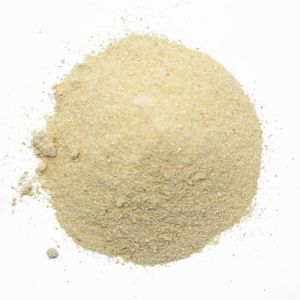 C&eacute;leri blanc en poudre (racine) - Sachet de 100 g (MesZ&eacute;pices, neuf)