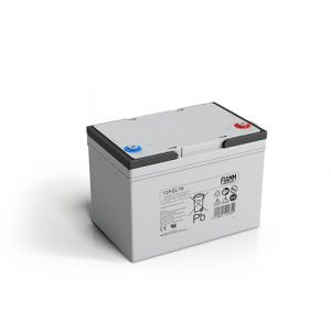 Fiamm 12FGL70 Batterie herm&eacute;tique au plomb 12 V 70 Ah Long Life (Tuttobatterie, neuf)