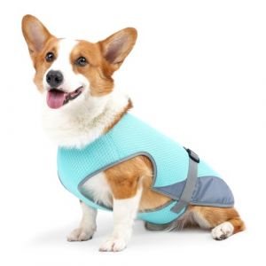 Gilet de Refroidissement pour Chien,Gilet de Glace en Maille pour Animaux de Compagnie avec Sangles Réglables pour Petits,Moyens et Grands Chiens,Entraînement de Chasse en Plein Air,Camping (AILOVA, neuf)