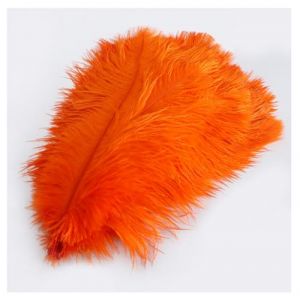 Lot de 10 plumes d'autruche multicolores 30-35 cm Plume naturelle pour bricolage D&eacute;coration DIY Plumes d'autruche pour maison, mariage, f&ecirc;te, table, table &agrave; manger, carnaval, attrape-r&ecirc;ves D&eacute;coration (Wancong, neuf)