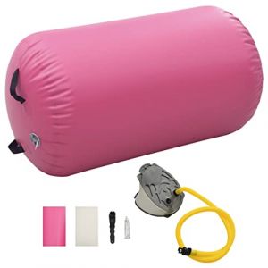 vidaXL Rouleau Gonflable de Gymnastique avec Pompe Cylindre Rouleau de Yoga Rouleau d'Entraînement Rouleau d'exercice 100x60 cm PVC Rose (vidaXL FR, neuf)