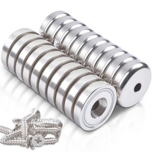 20 pi&egrave;ces aimants 20 kg de force 25 x 7 mm aimant n&eacute;odyme avec trou et capsule, aimants forts avec trou, aimants n&eacute;odyme extra forts, disques de force, aimant-pot &agrave; t&ecirc;te frais&eacute;e avec vis (Anelueeoo, neuf)