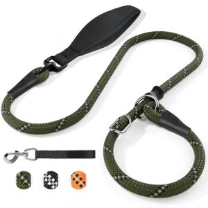 X XBEN Laisse Chien avec Stop Int&eacute;Gr&eacute;, 180cm R&eacute;Fl&eacute;Chissant Longe pour Chien avec Poign&eacute;E Confortable R&eacute;Sistante Convient Aux Chiens De Moyenne Et Grande Taille, 8mm, Vert (XiBei-EU, neuf)