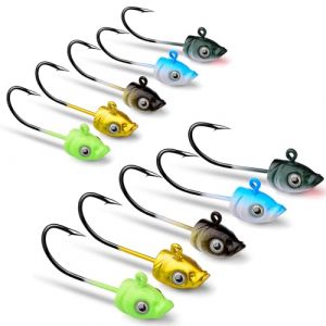 DHER Lot de 10 hameçons à tête plombée pour appâts de pêche,Pêche Hameçons Jig Hameçon de Pêche Hameçons Carpe tête, 5g g Fish Head Lead Head Hooks, Fishing Jig 3D Eye Fishing Hooks (auberginesled, neuf)
