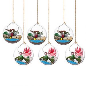 Terrarium en Verre Suspendu 6 Pi&egrave;ces Grande Ouverture Vase Plante Boules 12cm Fleur Vase Pot Boules De Verre Creativesverre la Conception de Bricolage de Jardin de Mariage &agrave; la Maison (Gasseam, neuf)