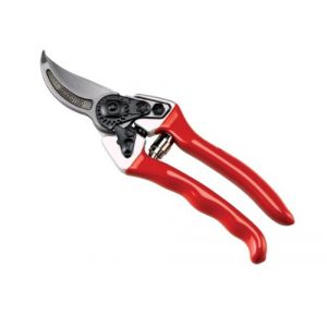 Ausonia 81003 Ciseaux Vigne Professionnel Rouge 21 cm (Ausonia Spa, neuf)