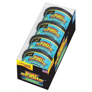 California Scents CCS-402TR Lot de 4 d&eacute;sodorisants pour Voiture Brise de Lagune (Trend-Time, neuf)