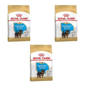 Royal Canin Yorkshire Terrier Puppy | Pack de 3 | 3 x 500 g | Croquettes pour Chiots Yorkshire Terrier | pour Le Soutien du système immunitaire | pour Un Beau Pelage et de Bonnes Dents (FeedMyAnimal, neuf)