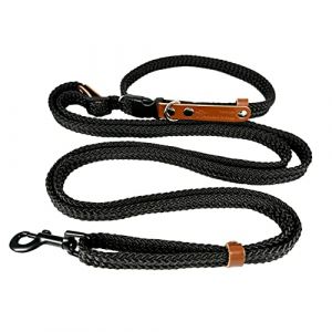 Laisse Main Libre Chien 2m. Réglable Libre Longueur. Ceinture Securite Voiture. Laisse Bondouliere Ceinture Chien. Jogging Canicross pour Petit Chiens. Fabriqué en Espagne. Noir. (AVANZONA, neuf)