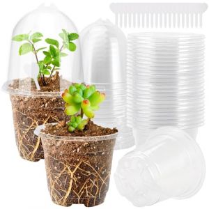 QINGHEC 20 Pieces Godet Semis Pot Transparent Plante 9cm Cache Pot Plante Interieur Pots de Fleurs Exterieur Petit Jardiniere Plastique avec Couvercle et étiquettes pour Graines, Semis et Plantes (QINGHEC, neuf)