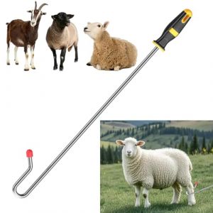 Petit mouton attrape-patte crochet, bâton de berger Crook mouton attrape-mouton crochet piège à jambe de volaille poteau, indispensable pour les fermes et les fermes d’élevage Capture de grappin (Hong Sheng Shang Mao, neuf)