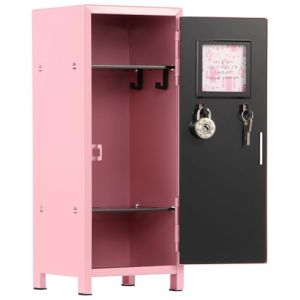 Mini casier de rangement vertical en m&eacute;tal avec serrure et 2 cl&eacute;s, 10,5 &times; 10,5 &times; 27,5 cm, bo&icirc;te de rangement pour fille, caisse &agrave; monnaie empilable pour bureau, chambre &agrave; coucher (rose) (TNTGMG, neuf)