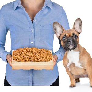 Cubes d'entra&icirc;nement pour chiens - 1 kg environ 1400 pi&egrave;ces - Snack sans c&eacute;r&eacute;ales 100 % viande de poulet - Hypoallerg&eacute;nique et naturel - R&eacute;compense pour l'entra&icirc;nement de chien (LovelyDog24, neuf)