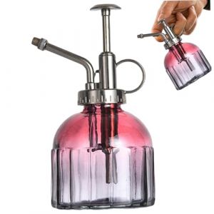 Neroyaner Brumisateur pour Plantes 200 ML Brumisateur pour orchidées Vintage avec Pompe supérieure en Bronze Vaporisateur pour Plantes Vaporisateur Facile à Nettoyer pour Maison Succulente Style 4 (JianShiXianDACHUNSHANGMAOYouXianGongSi, neuf)
