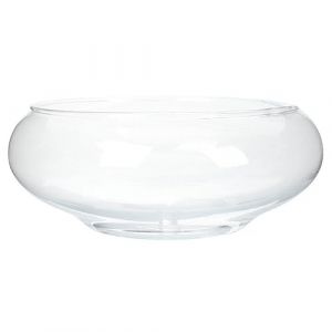 Warmhm Vase Bol &agrave; Poissons Transparent Bol &agrave; Bulles Conteneur Plastique Arrondi et Bas Pot pour Plantes Aquatiques Pot pour Jonquilles Hydroponique pour Aquarium (Demetrius Rick, neuf)