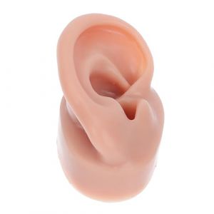 VICASKY Mod&egrave;le D&rsquo;oreille En Silicone Taille Naturelle Couleur Caf&eacute; &agrave; Usage M&eacute;dical Pour Entra&icirc;nement Au Per&ccedil;age Et Affichage De Bijoux (Micanties, neuf)