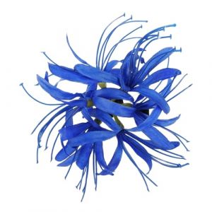PRETYZOOM Pince &agrave; Cheveux Fleur Pour Femme Grosse Taille Maintien Cheveux &Eacute;pais Usage Quotidien Tissu Plastifi&eacute; Solide (Coddle HSY, neuf)