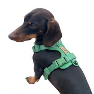 Harnais anti-traction pour chien – Réglable et confortable – Petites et moyennes races – Promenades sûres et sans traction – La Casa de Turrón (Jungle (vert), XS) (La Casa de Turrón, neuf)
