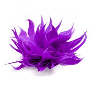Épingle à plumes for écharpe, boucle, broche, clip, épingle à revers de Noël, broche, bijoux, badge en plumes et fleurs for femmes et filles(PL) (MAOXINBAIHUO, neuf)