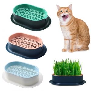 FENGQQKJ Lot de 3 pots d'herbe à chat hydroponique, bac à herbe à chat, bac à herbe à chat, conteneur d'herbe à chat pour chat d'intérieur pour planter de l'herbe à chat (lianghengdianzi, neuf)