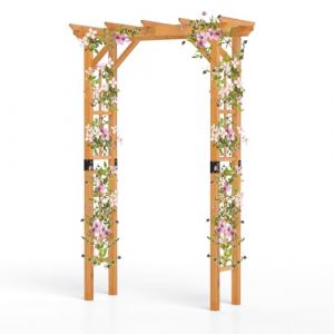 HOMASIS Arche de jardin en bois, arche pour escalade avec auvent et treillis, tonnelle d'extérieur pour roses, glycines, ballons, décoration de jardin pour fête et mariage (toit plat) (Homasis, neuf)