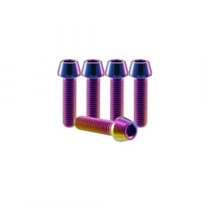 RISON-Titanium Lot de 5 Boulons en Titane M5x0.8x20mm, Vis de Tige de V&eacute;lo &agrave; Six Pans Creux, Vis de Potence de V&eacute;lo &agrave; T&ecirc;te Conique Hexagonale pour Cage de Bouteille, Collier de Tige de Selle (SINO-SWISSTI, neuf)