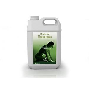 Camylle - Brume de Hammam Orange Cannelle - Fragrances à base d'Huiles Essentielles pour Hammams, Bains de Vapeur ou Douches Hammam - Réconfortant aux arômes chauds et épicés - 5000ml (Camylle, neuf)