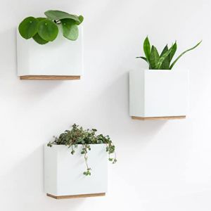 Kazai. Jardinières Murales -Alma- | 3 Pots de Fleurs Suspendus Modernes en Résine | Ensemble de Porte-Plantes pour Plantes d'intérieur, Plantes artificielles et Plus | Blanc (mtc commerce GmbH, neuf)