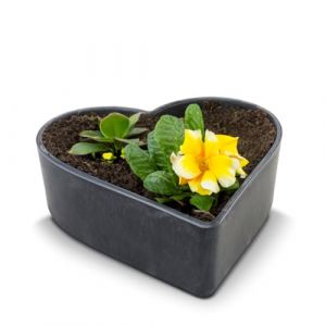 Matches21 Pot de fleurs en forme de cœur résistant aux intempéries pour l'extérieur – Grand bol décoratif en noir marbré comme bol à fleurs – 24 cm pour fleurs ou cimetière comme bijou funéraire (matches21 HOME & HOBBY, neuf)