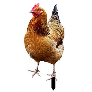 Décoration de jardin en forme de poule - Sculpture en acrylique 2D - Piquets de poulet réalistes - Sculptures de poulet pour cour, terrasse, pelouse, décoration de jardin Zorq (hereare, neuf)