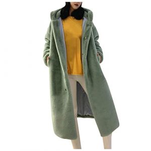 L9WEI Veste en peluche pour femme - Manteau en fausse fourrure - Manteau d'hiver - Veste &agrave; capuche - Couleur unie - Veste polaire &eacute;l&eacute;gante - Manteau &agrave; capuche - Manteau en peluche, vert, XS (HFGFIVG, neuf)
